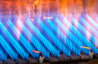 Clousta gas fired boilers